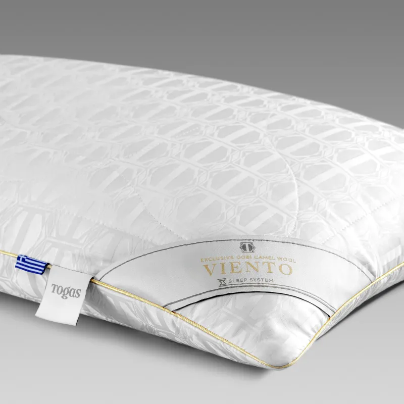 Pillow Viento