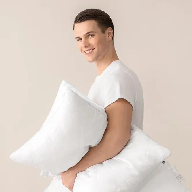 Sleep System