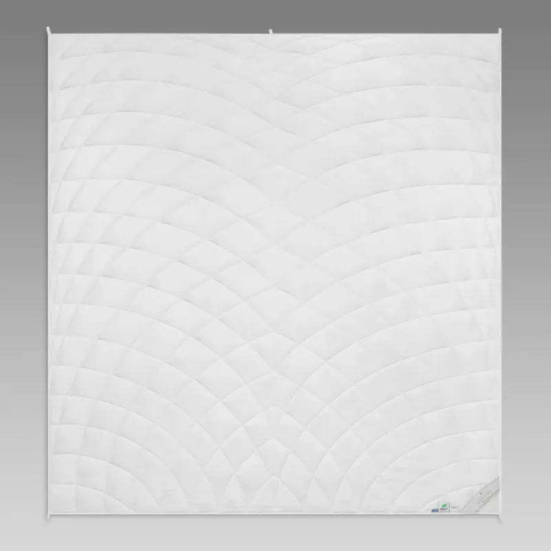 Comforter Monnard