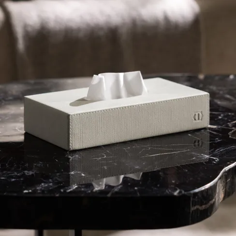 Tissue box Airy