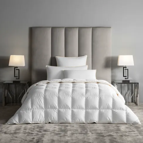 Comforter Nobilis