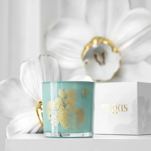 Scented candle Apricot & Oat