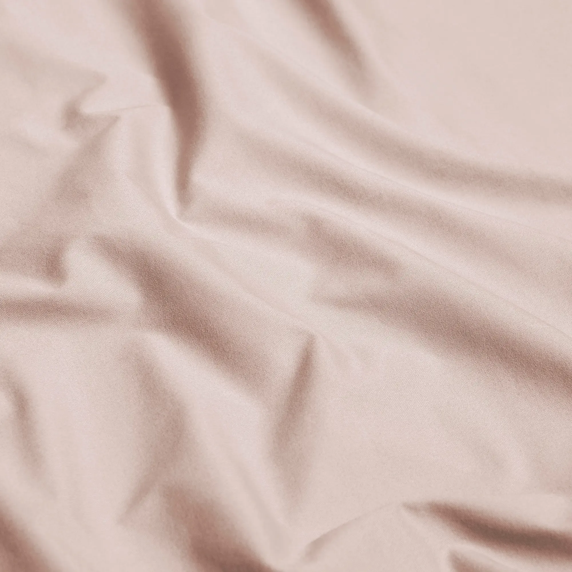 Sheet Royal